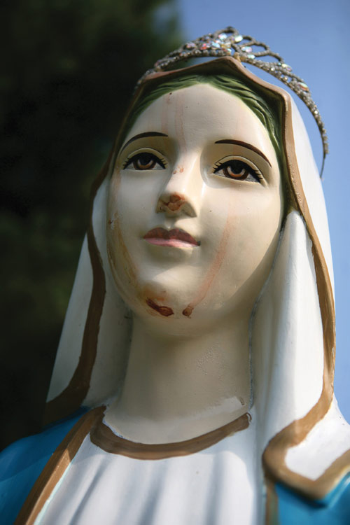 The Blessed Mother pains<br>caused by Crown of Thorns