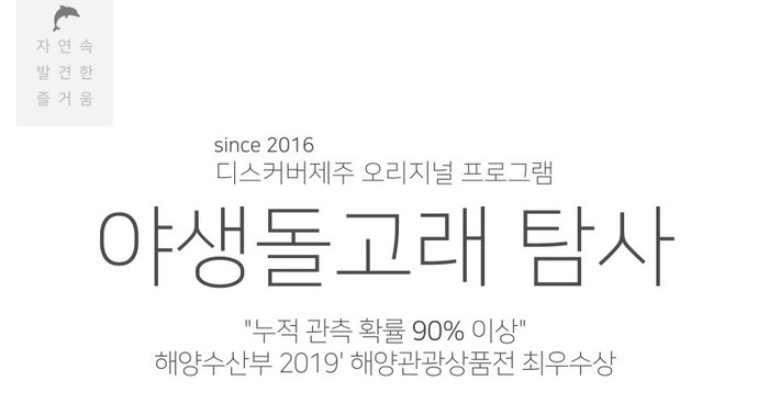 [내돈내산 - 디스커버제주]  야생돌고래 체험/제주 11월 날씨와 옷차림 정보까지!