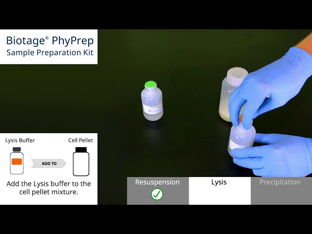 Phyprep Maxi Sample Prep Endotoxin Free Transfection Grade Maxiprep