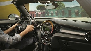 GENUINE MINI