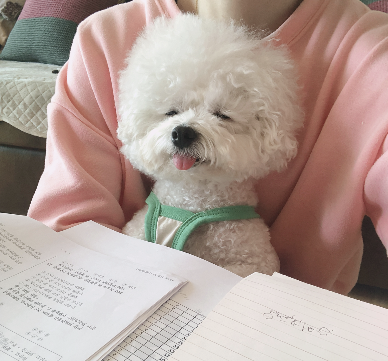 연봉만큼 저축한 4년차 주임의 머니로그