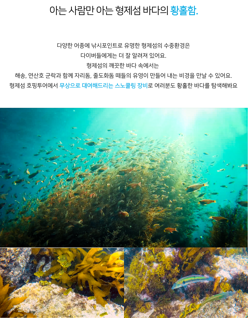 다양한 어종이 살고있는 형제섬은 아름다운 수중생물로 다이버들에게 잘 알려져 있습니다. 무상으로 제공하는 스노클링 장비로 아름다운 제주바다를 눈에 담아보세요.