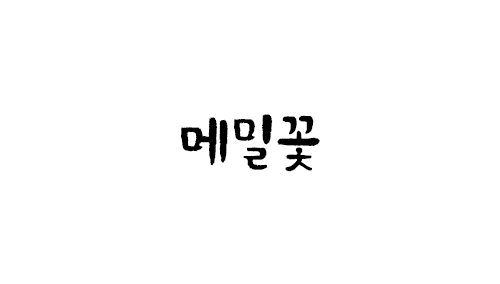 HU 메밀꽃