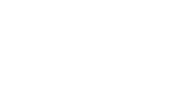 THE FILL HOLDINGS