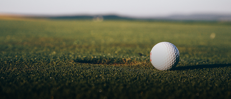 <h4 style="">골프캐디 직업의 장점</h4>