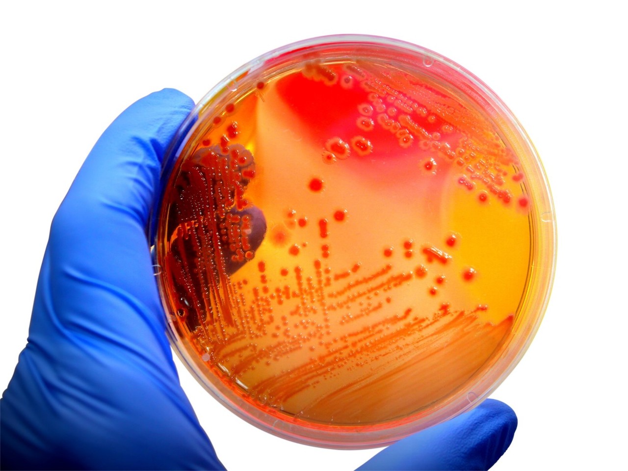 sigma aldrich merck Millipore