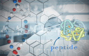 AF3411 / Phospho-Caldesmon (Ser789) Antibody : Affinity | 아이셀 브랜드 파트너
