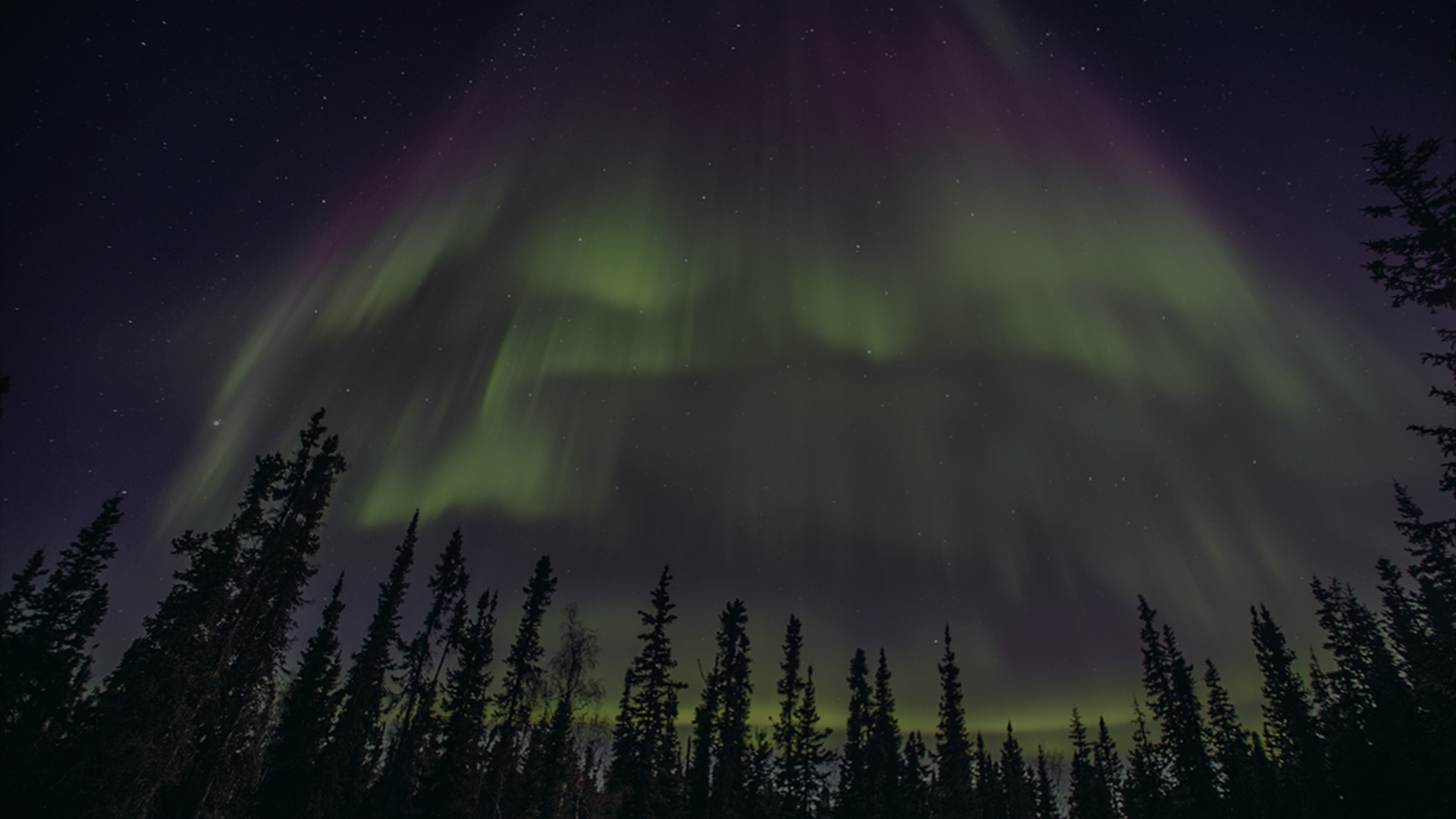 mobile background