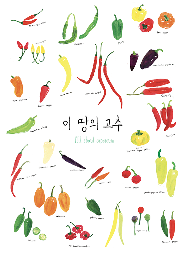 <span style="font-size: 12px;"><span style="font-family: 'Nanum Gothic' !important;">-음식탐험가 장민영의 고추 아카이빙 (일러스트_방현일작가)</span></span>