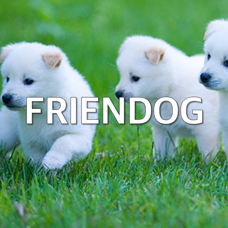 FRIENDOG / 애견용품 및 쇼핑몰 : 마크인포 상표 쇼핑몰