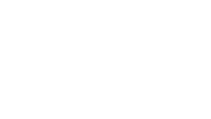 곶자왈제주쉰다리 | 느티나무