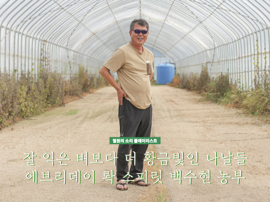 철원의 소리 플레이리스트] 에브리데이 롹 스피릿 백수현 농부 : CONTENTS