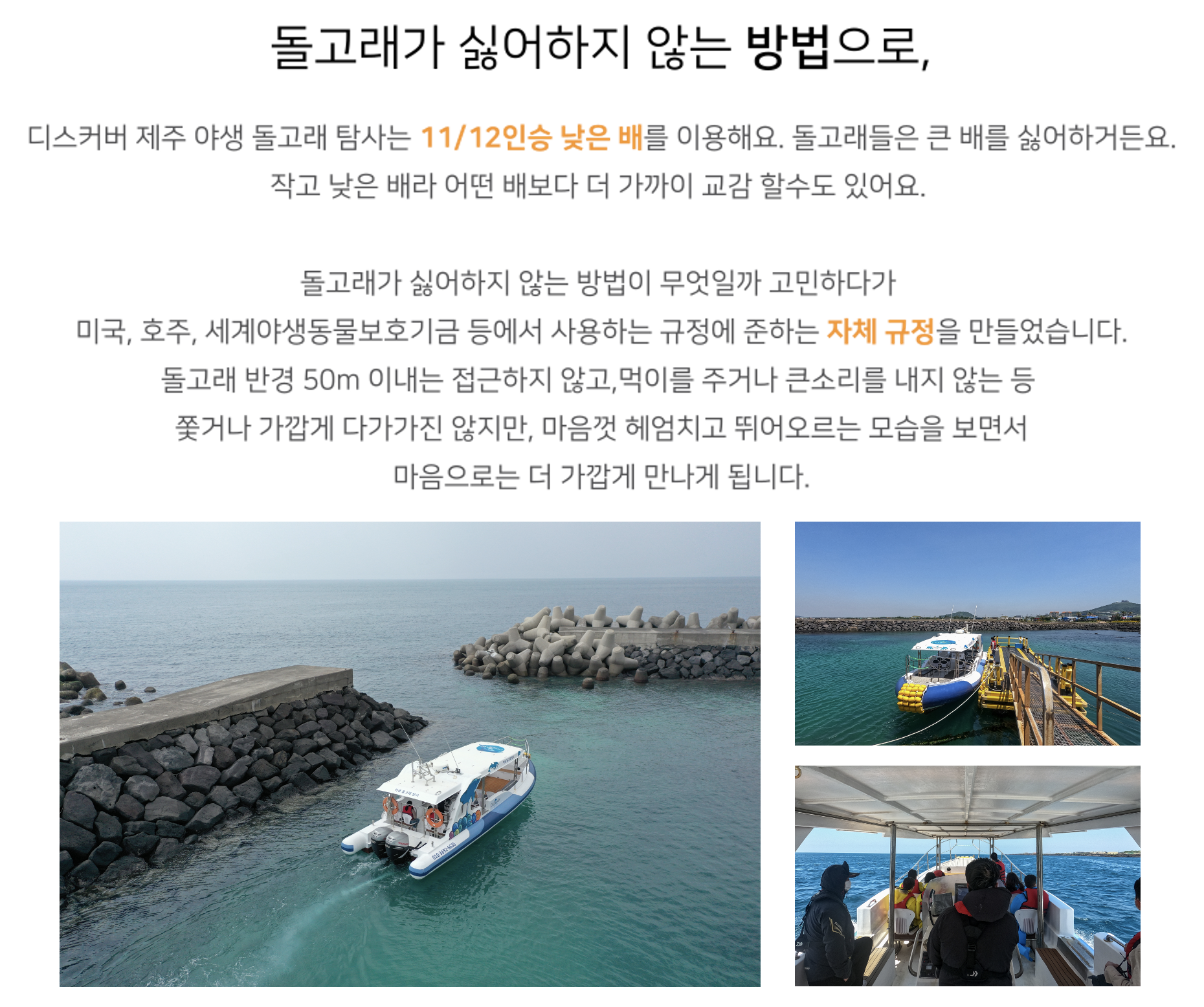 미국, 호주, 세계야생동물보호기금 등에서 사용하는 규정에 준하는 자체 규정을 만들어 돌고래를 보호하며 투어를 진행합니다.