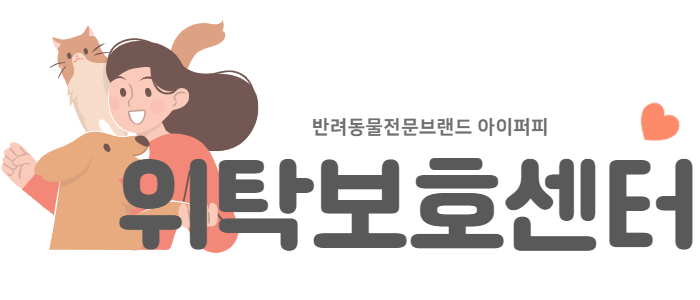 강아지무료분양  아이퍼피위탁보호센터