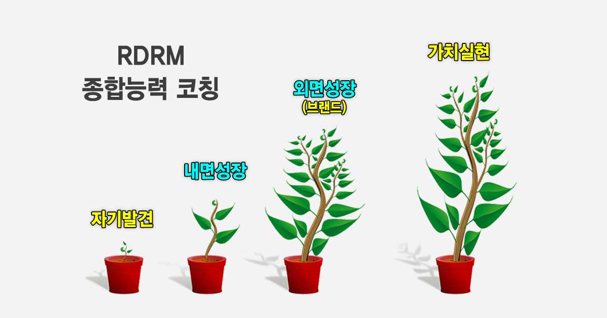 RDRM코칭모델, RDRM종합능력코칭모델