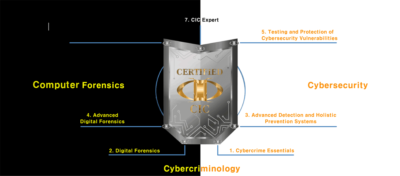 Stage 6 Reconstructive Computing and Reverse Engineering : TRAINING
