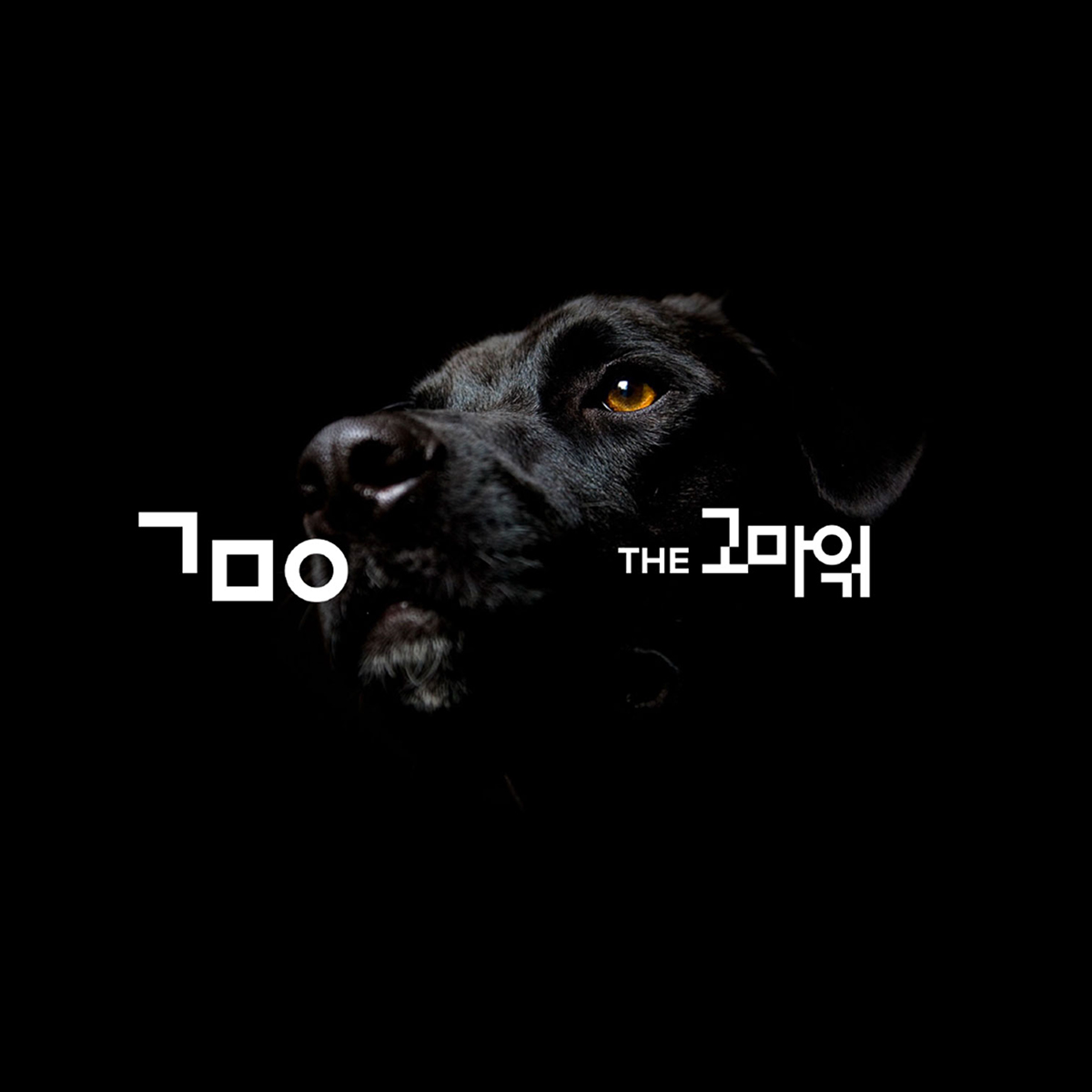 <h6 style="text-align: left;"><span style="font-size: 18px;"><strong> The 고마워</strong></span></h6>