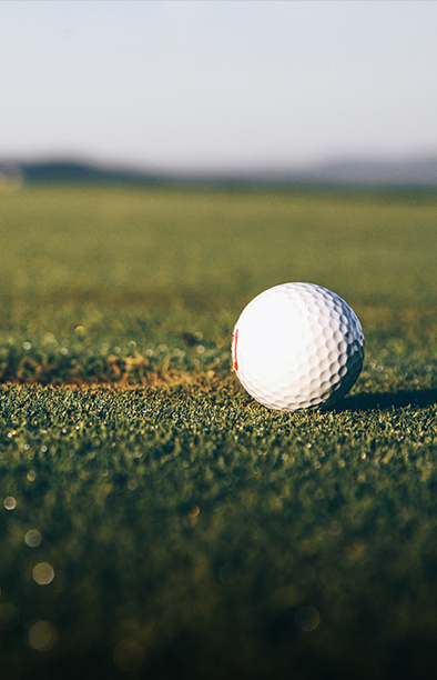 <h6 style="font-size:32px; margin-bottom:-8px; line-height: 1.3;">골프캐디<br>직업의 장점</h6>