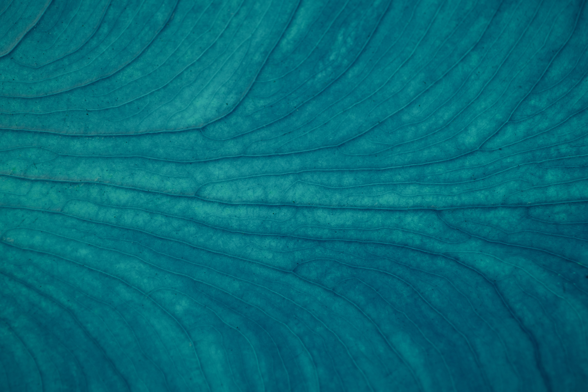 mobile background