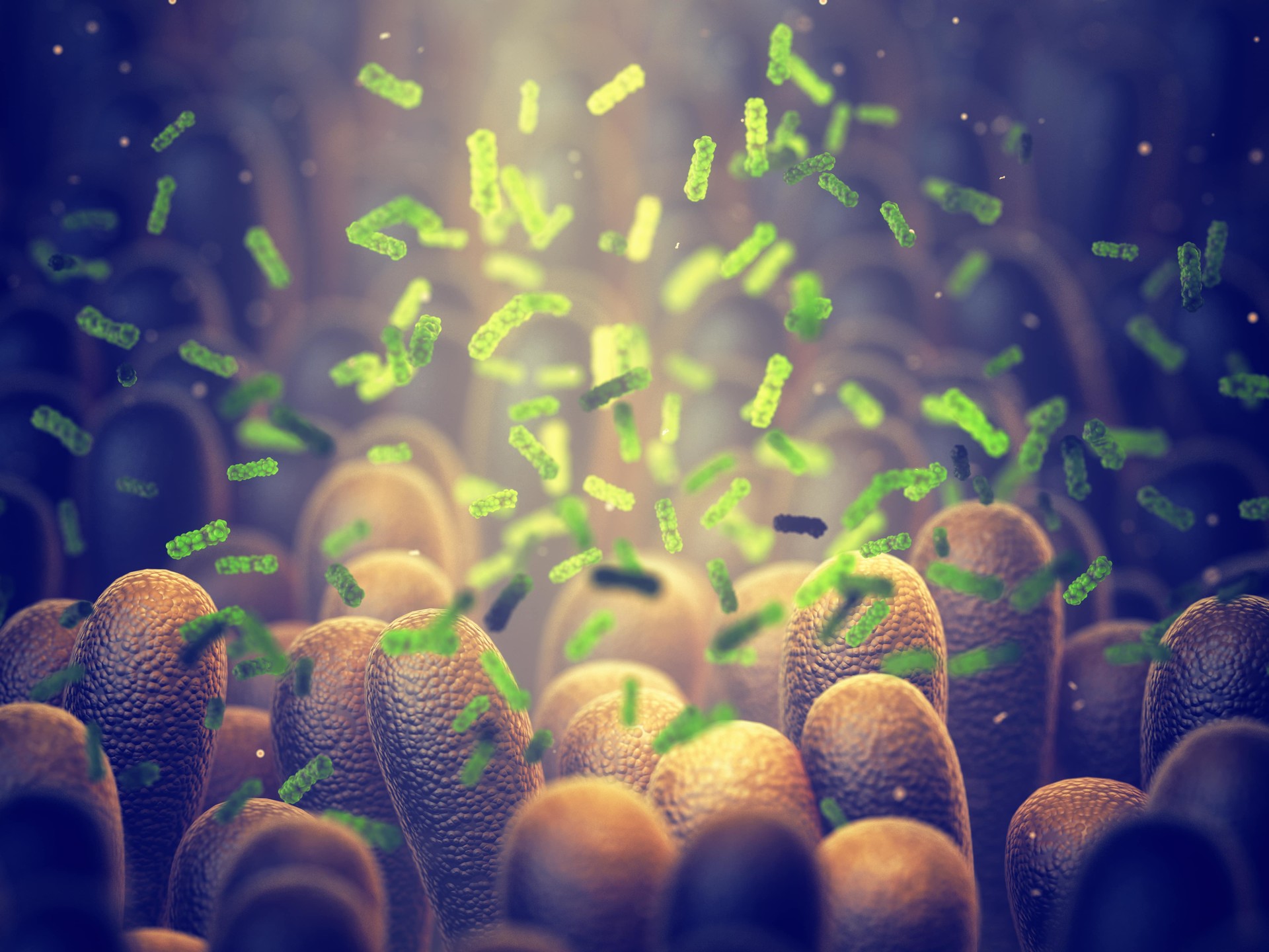 Cell Nutrition
