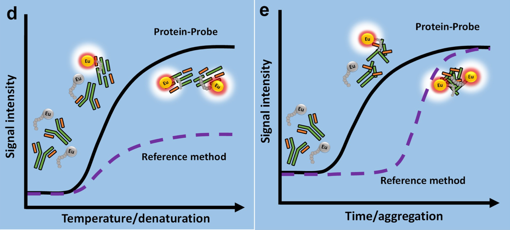 Protein - Probe  Technology : The method is based on a mix-and-measure technique. In the aggregation assay, we add the detection solution (typically 40-70 uL) to a 384-well and thereafter 1-6 uL of sample. We mix and then the wells are measured for time-resolved luminescence up to 60 min.  The proprietary method uses an europium-chelate labeled peptide which interacts with the target protein when denatured and/or aggregation. We optimized the technique to antibodies. The luminescence signal of the Eu-peptide is quenched in solution with soluble quencher molecules when the peptide is not interacting with an unfolded protein. The method is 100-fold more sensitive than Sypro Orange.