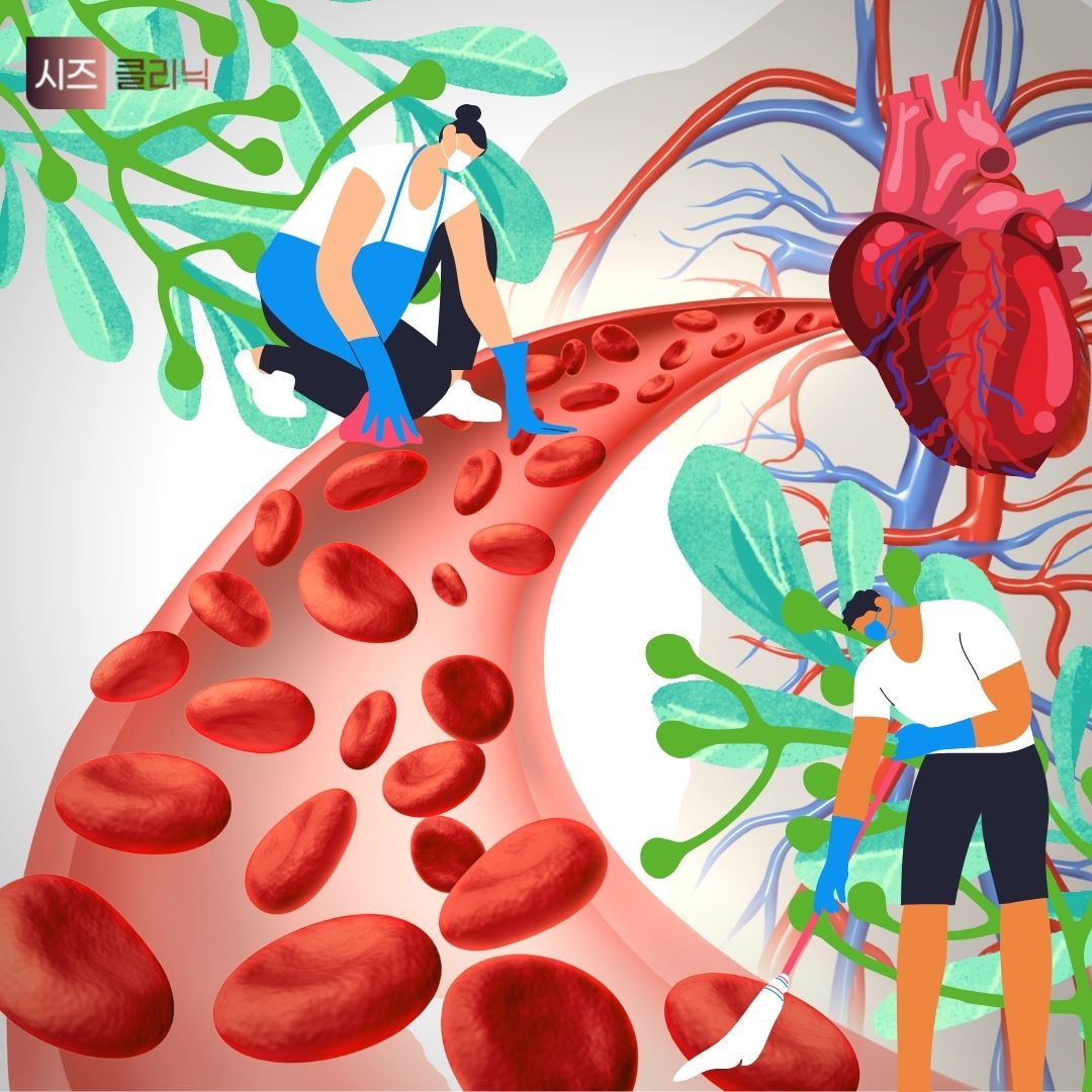 Blood & Lymph Circulation