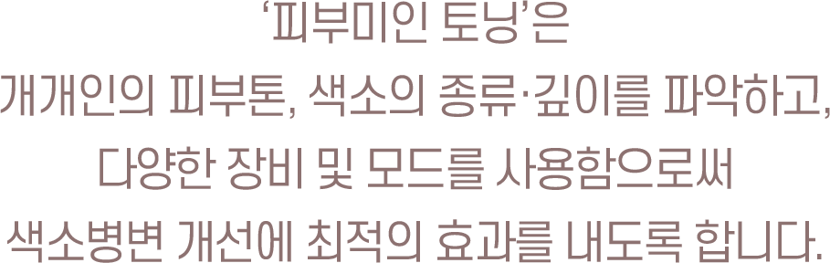 피부미인 토닝은