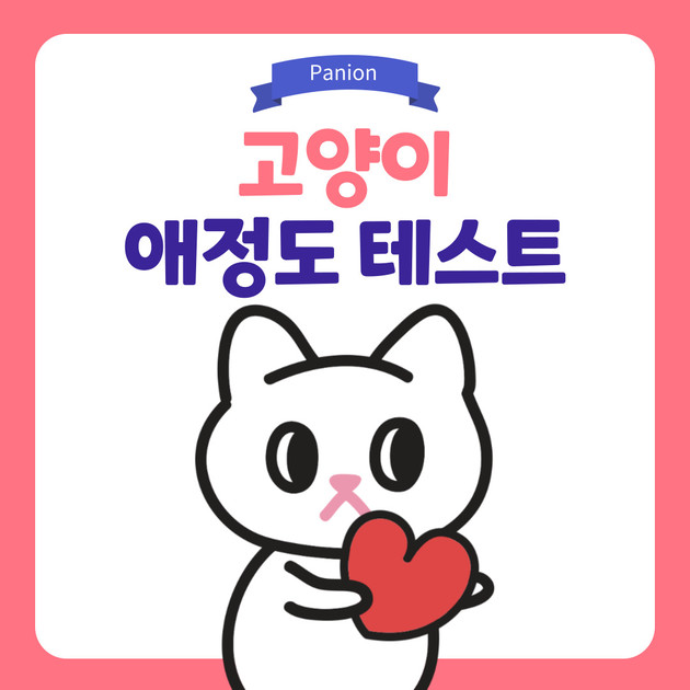 고양이 애정도 테스트하기 _ 멍냥 박학다식 : Panion Magazine