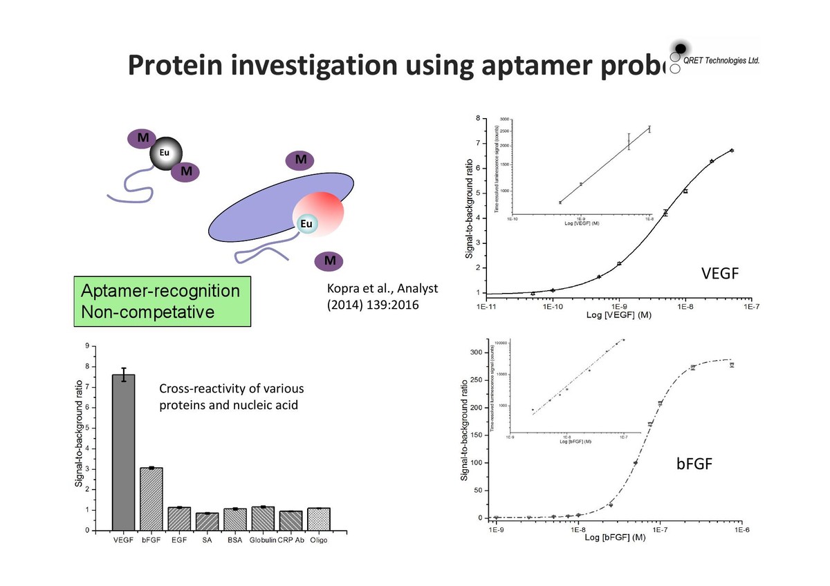 Protein investigation using aptamer probe : 이앤씨바이오(2NCBIO)