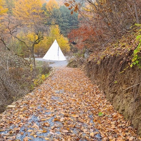 예약 상품 이미지