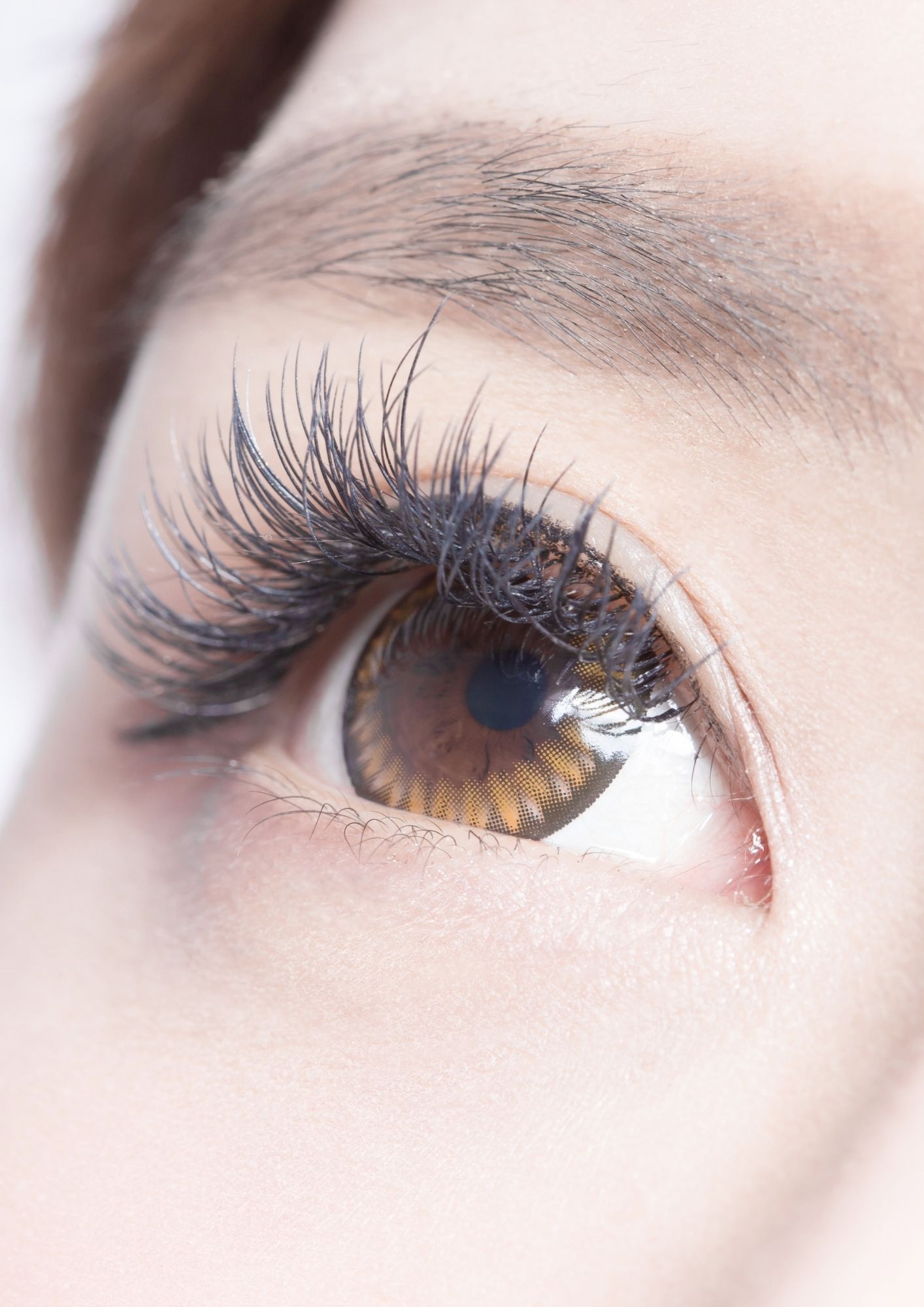 Eye