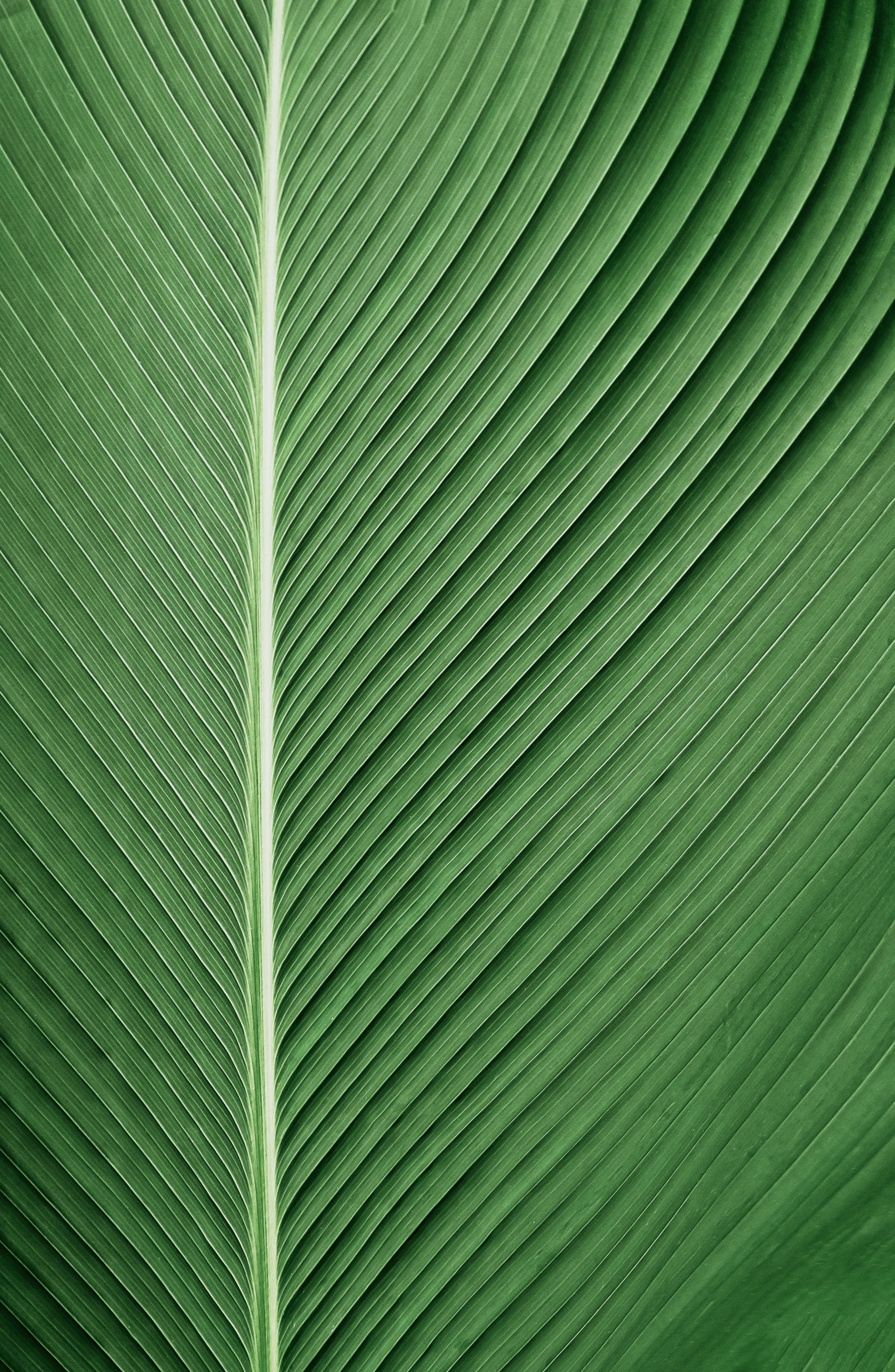 mobile background