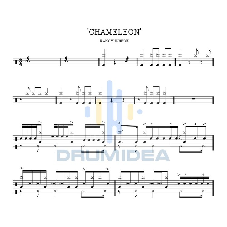 Chameleon DRUMSOLO : DrumideaChameleon DRUMSOLO : Drumidea  