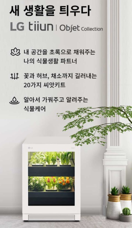새 생활을 틔우다 내공간을 초록으로 채워주는 나의 식물생활파트너 꼬과허브,채소까지 길러내는 20가지 씨앗키트 알아서 가꿔주고 알려주는 식물케어