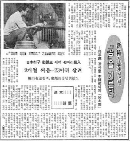 출처: 동아일보 1973.9.15
