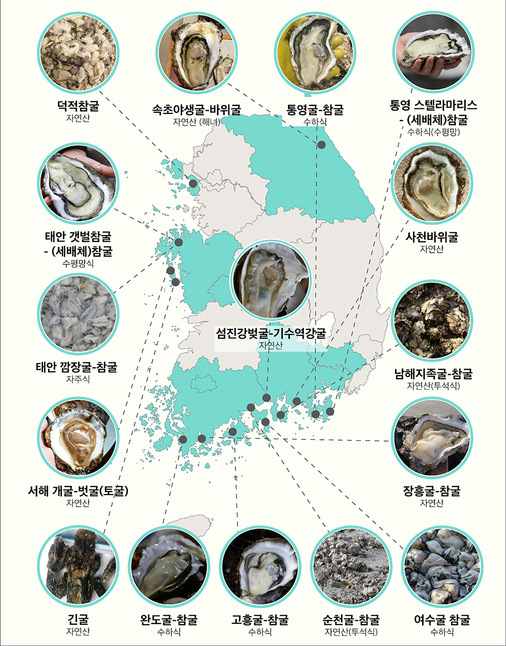 <strong> <span style="font-family: 'Nanum Gothic' !important;">음식탐험가 장민영의 대한민국 굴지도 </span></strong> copyright.장민영