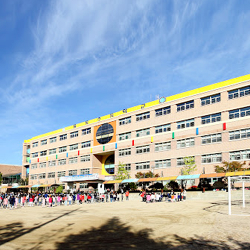 학교