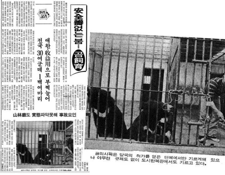 출처: 경향신문 1981.5.26