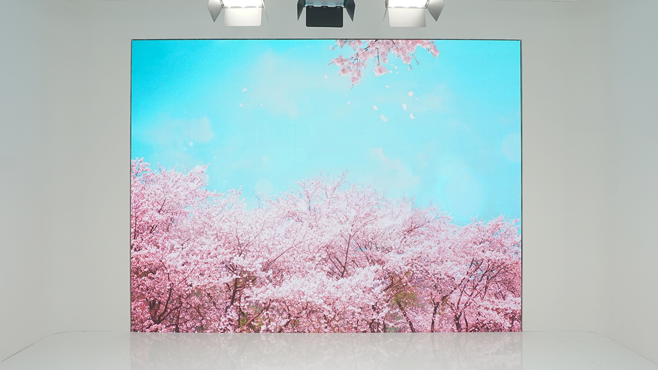 * 무보정 원본이미지