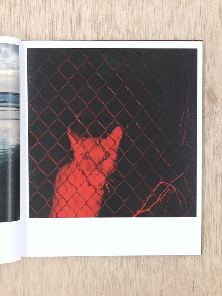 Chroma - John Divola (OUT OF PRINT) : Same Dust_kor