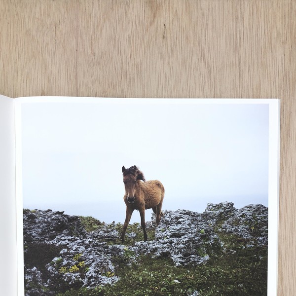 Work Horse - Charlotte Dumas : Same Dust_kor