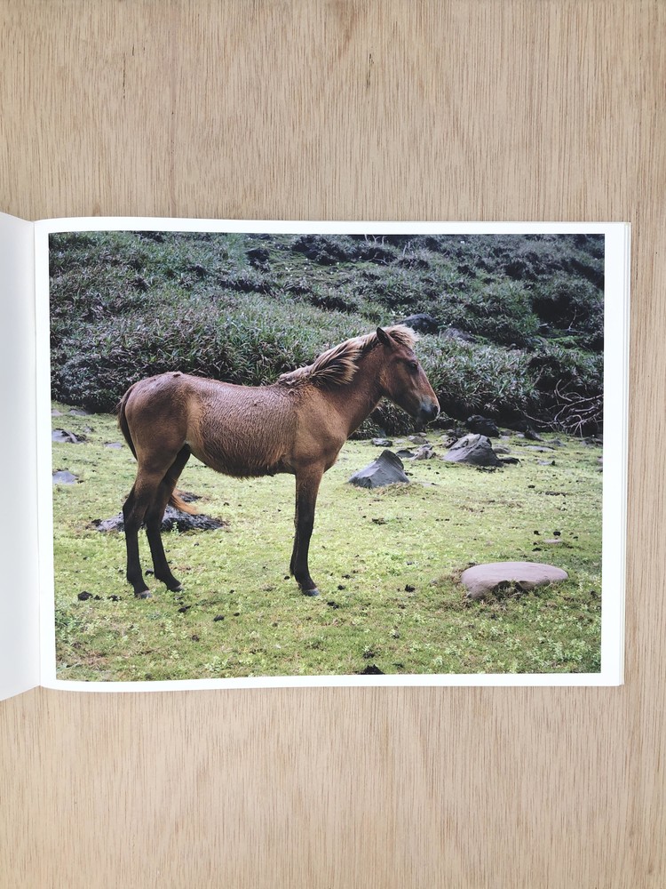 Work Horse - Charlotte Dumas : Same Dust_kor