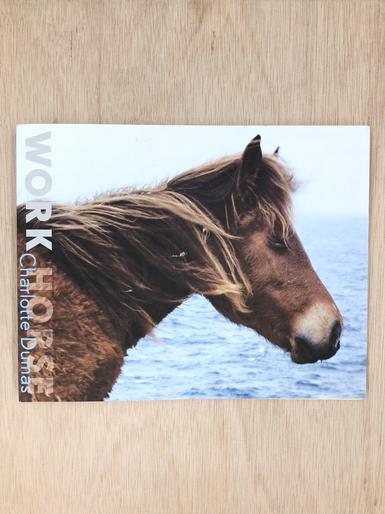 Work Horse - Charlotte Dumas : Same Dust_kor