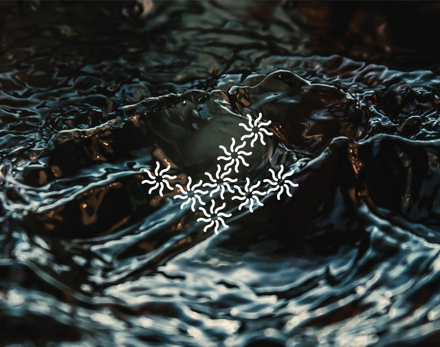 수목 水木 (Cafe)