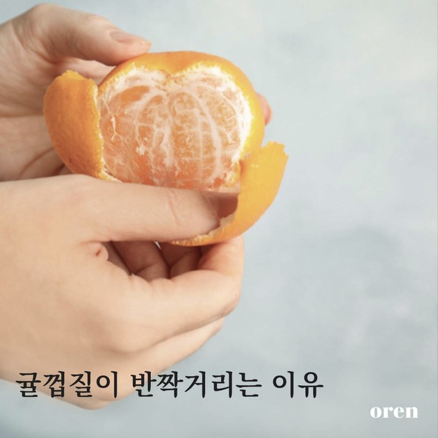 귤껍질이 반짝거리는 이유 : Learn 오랜, 매일 건강해지는 생활