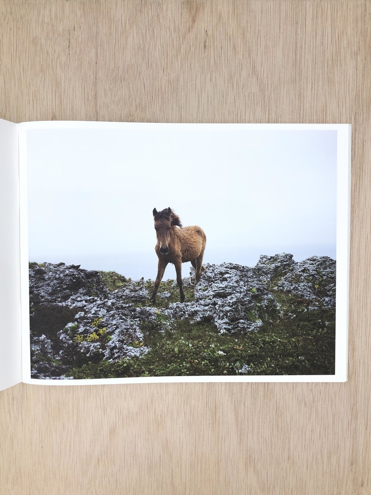 Work Horse - Charlotte Dumas : Same Dust_kor