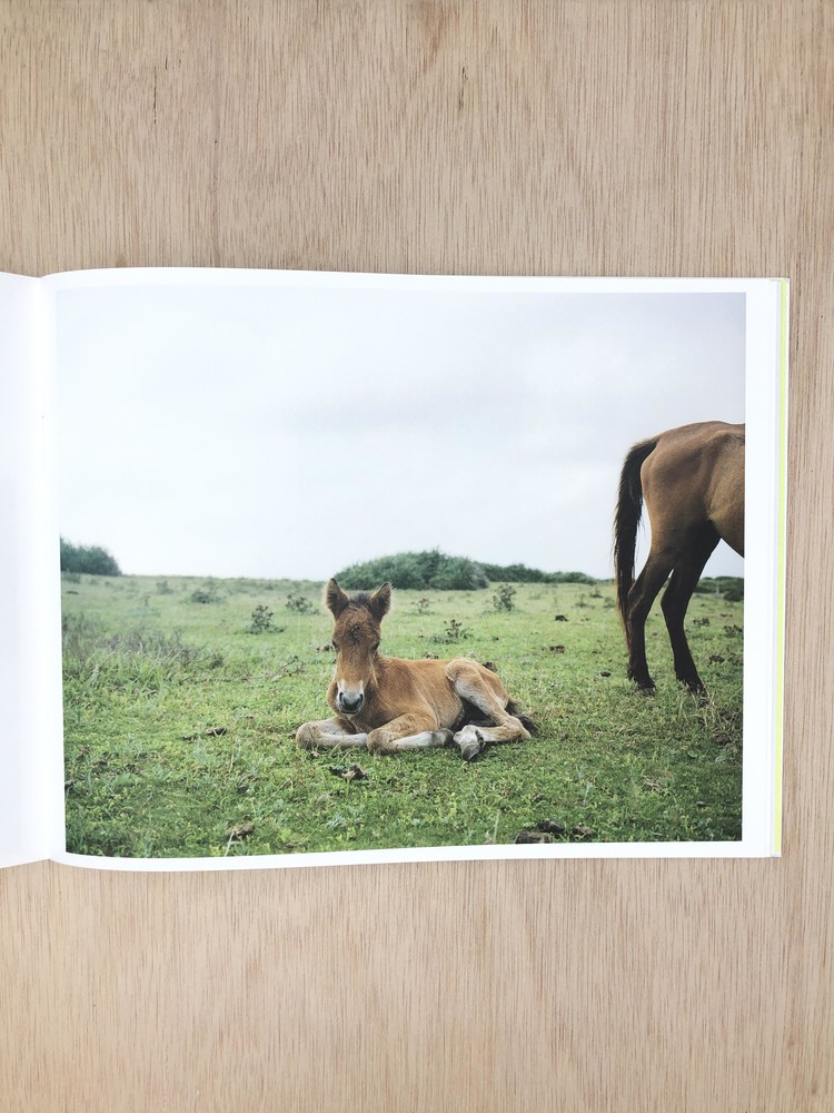 Work Horse - Charlotte Dumas : Same Dust_kor