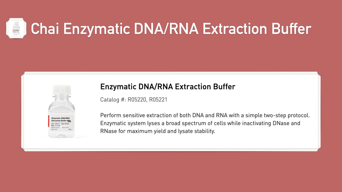 Chai Enzymatic DNA/RNA Extraction Buffer, 1X or 10X : LAMP Kits ...