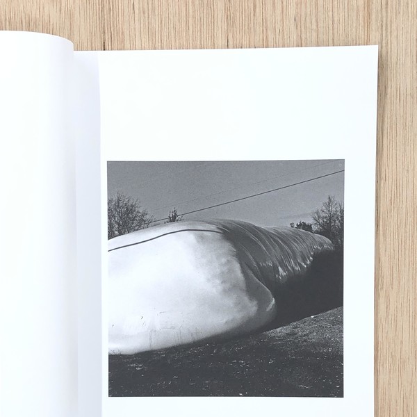 TOMOKO DAIDO 写真集「MURMUR」 Murmur - Tomoko Daido - Witty Books