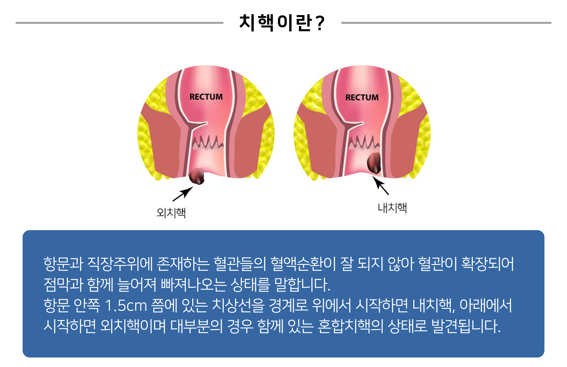 광주항외과의원
